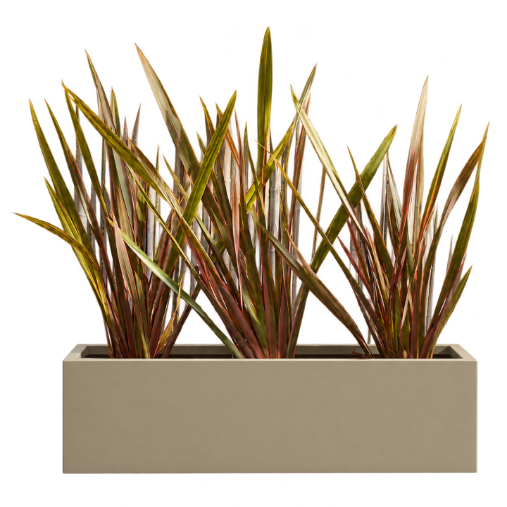 Formio Atropurpurea 10 Litros — imagen de referencia