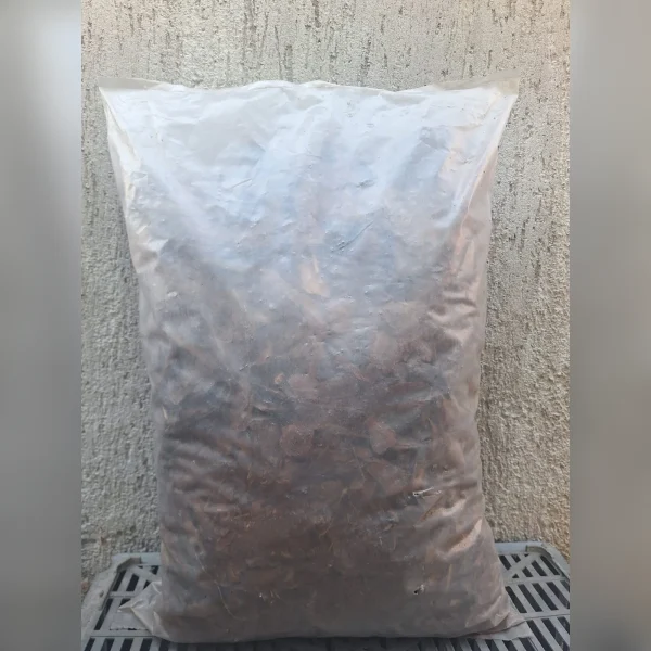 Chip 25 litros