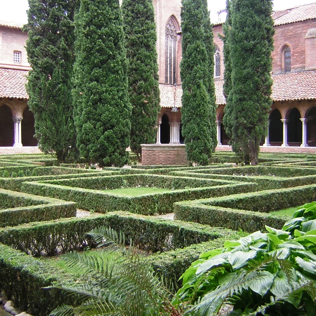Buxus 3 Litros