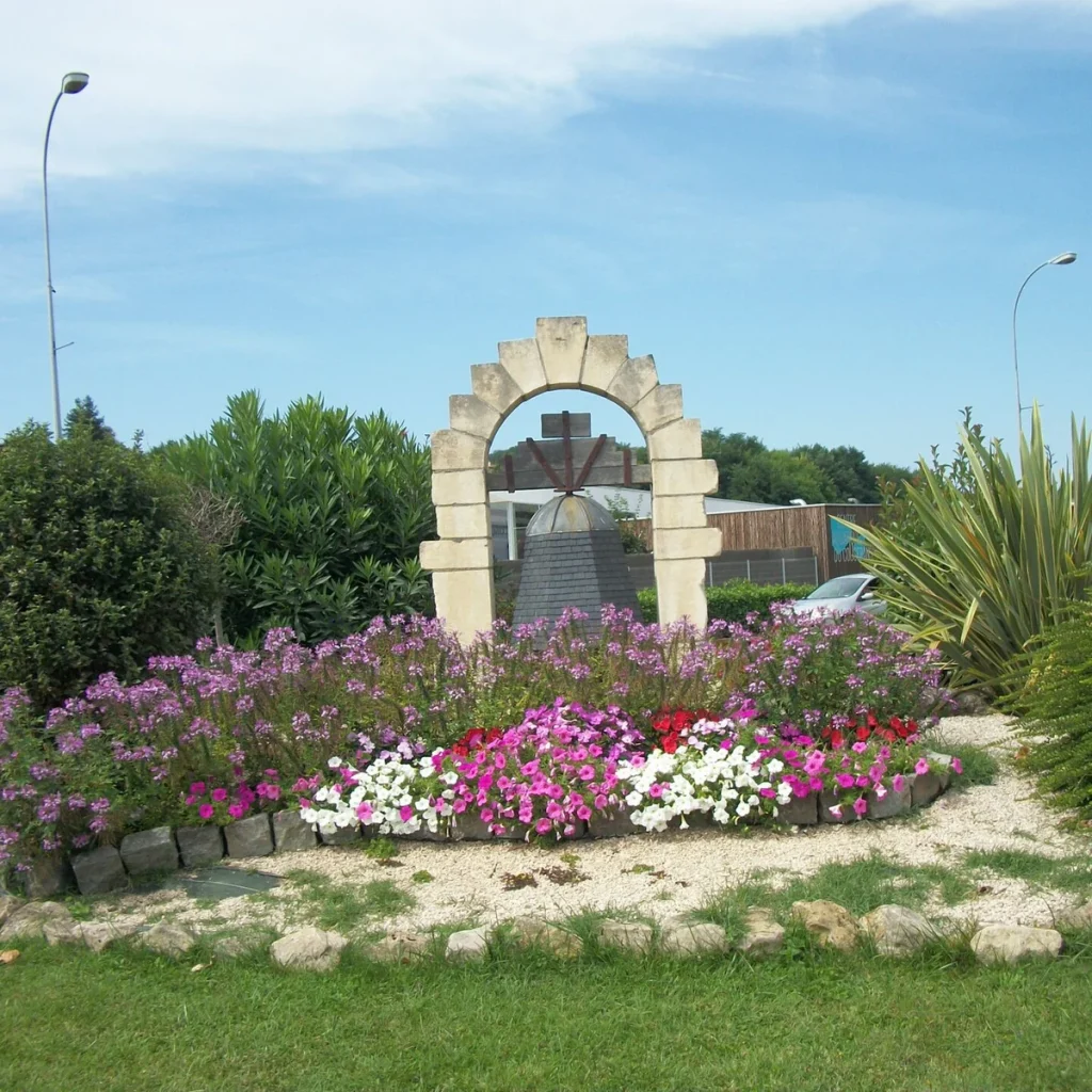 Phormium 3 Litros