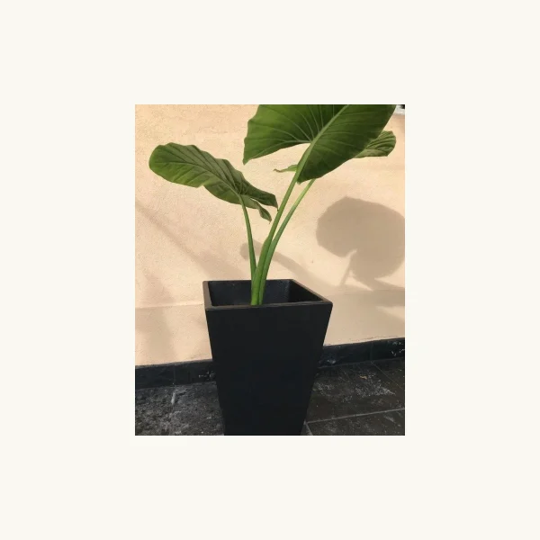 Maceta de cemento Piramidal 40×28×21 cm