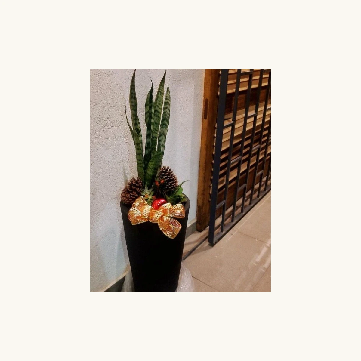 Maceta de cemento Cono 40×26×60 cm — maceta de cemento en Vivero Los Cocos