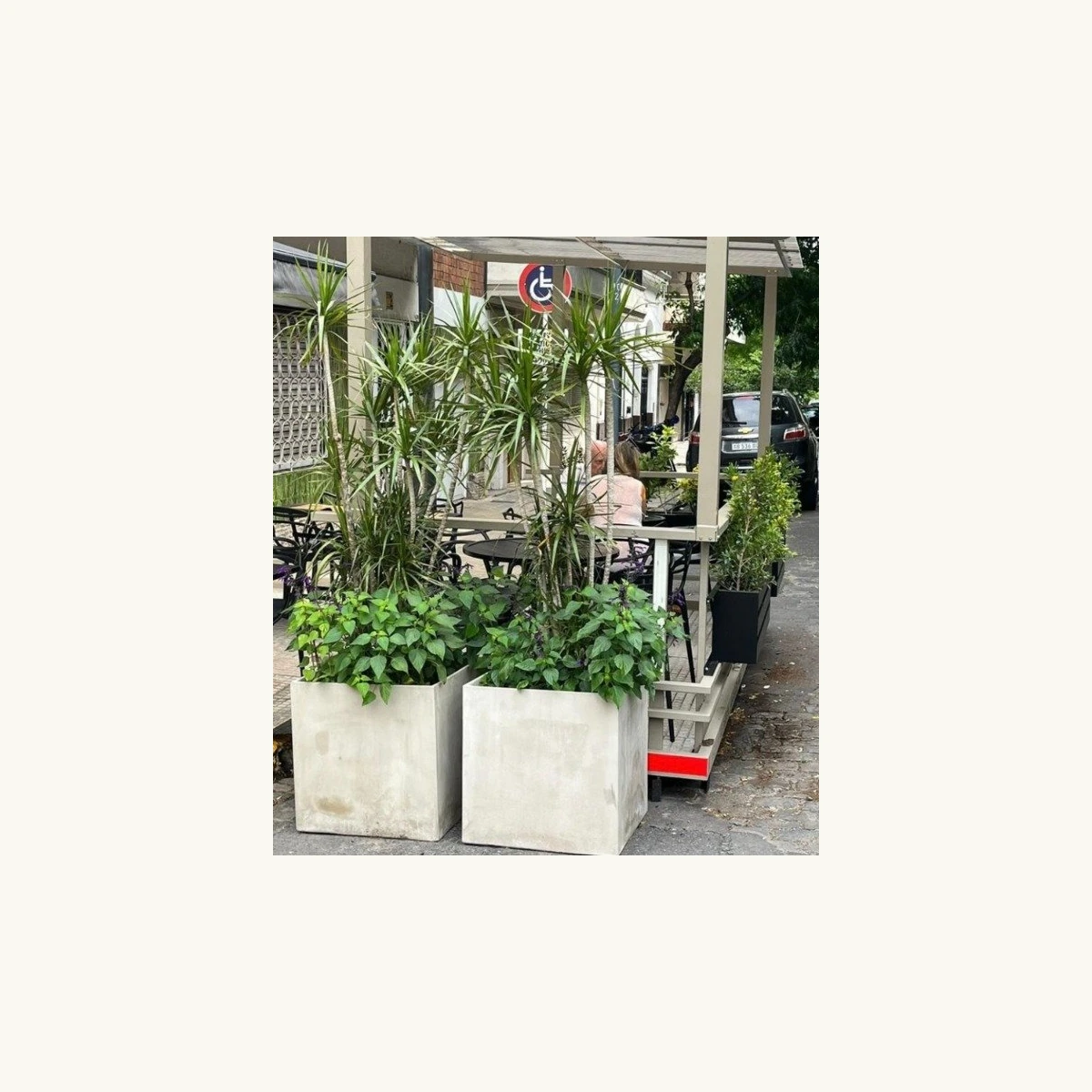 Maceta de cemento Cubo 20×20×20 cm — maceta de cemento en Vivero Los Cocos