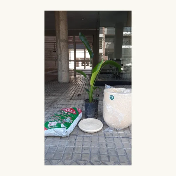 Maceta de cemento Salteña 110×62×37 cm