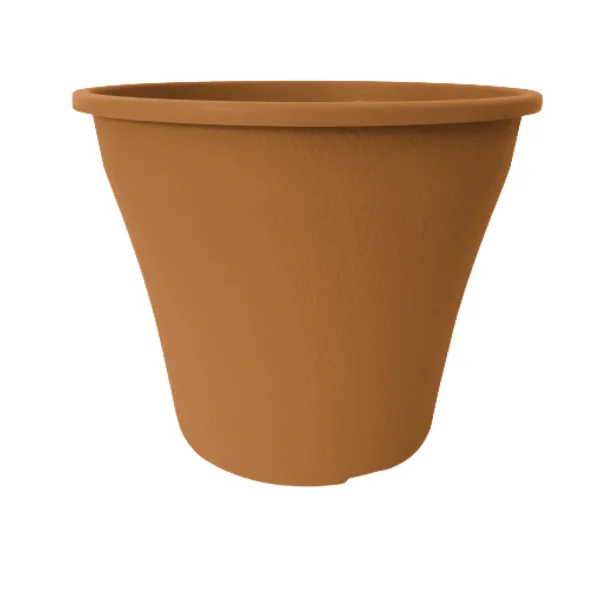 Mmatfin20Be - Producto de Vivero
