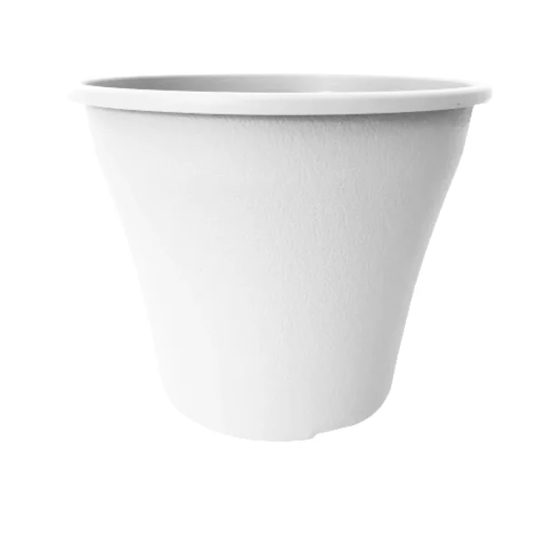 Mmatowred24Bl - Producto de Vivero