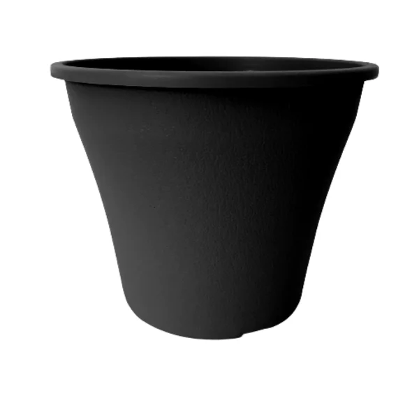 Mmatowred24Ne - Producto de Vivero
