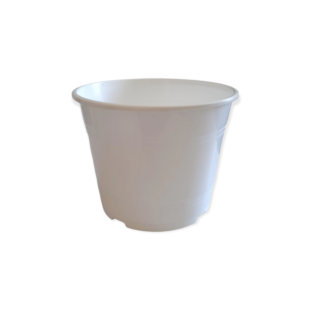 Maceta Plástica Rocío 19 cm. Color: Blanco en Vivero Los Cocos