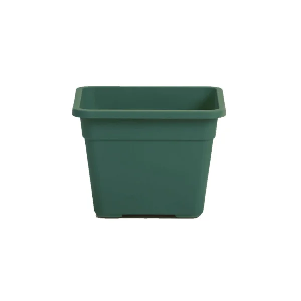 Matri - Owen Cuadrada 15× Verde Aqua