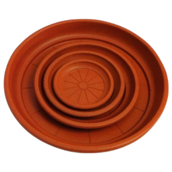 Plato redondo 36