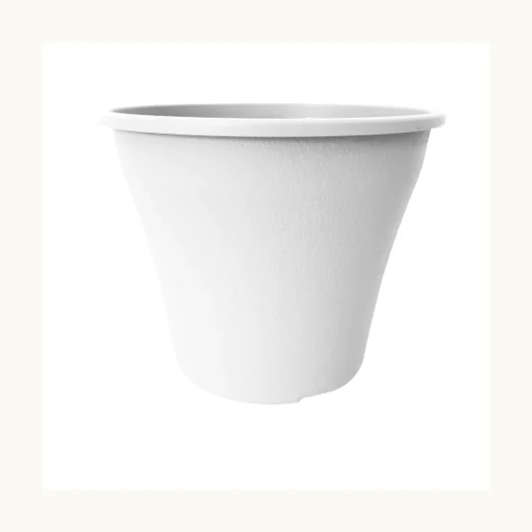 Finny 24 cm