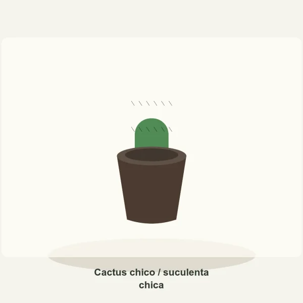 Cactus chico / suculenta chica