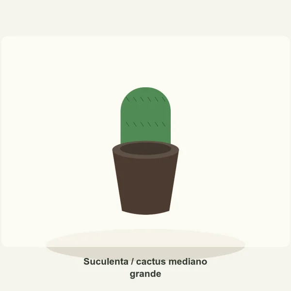 Suculenta / cactus mediano grande
