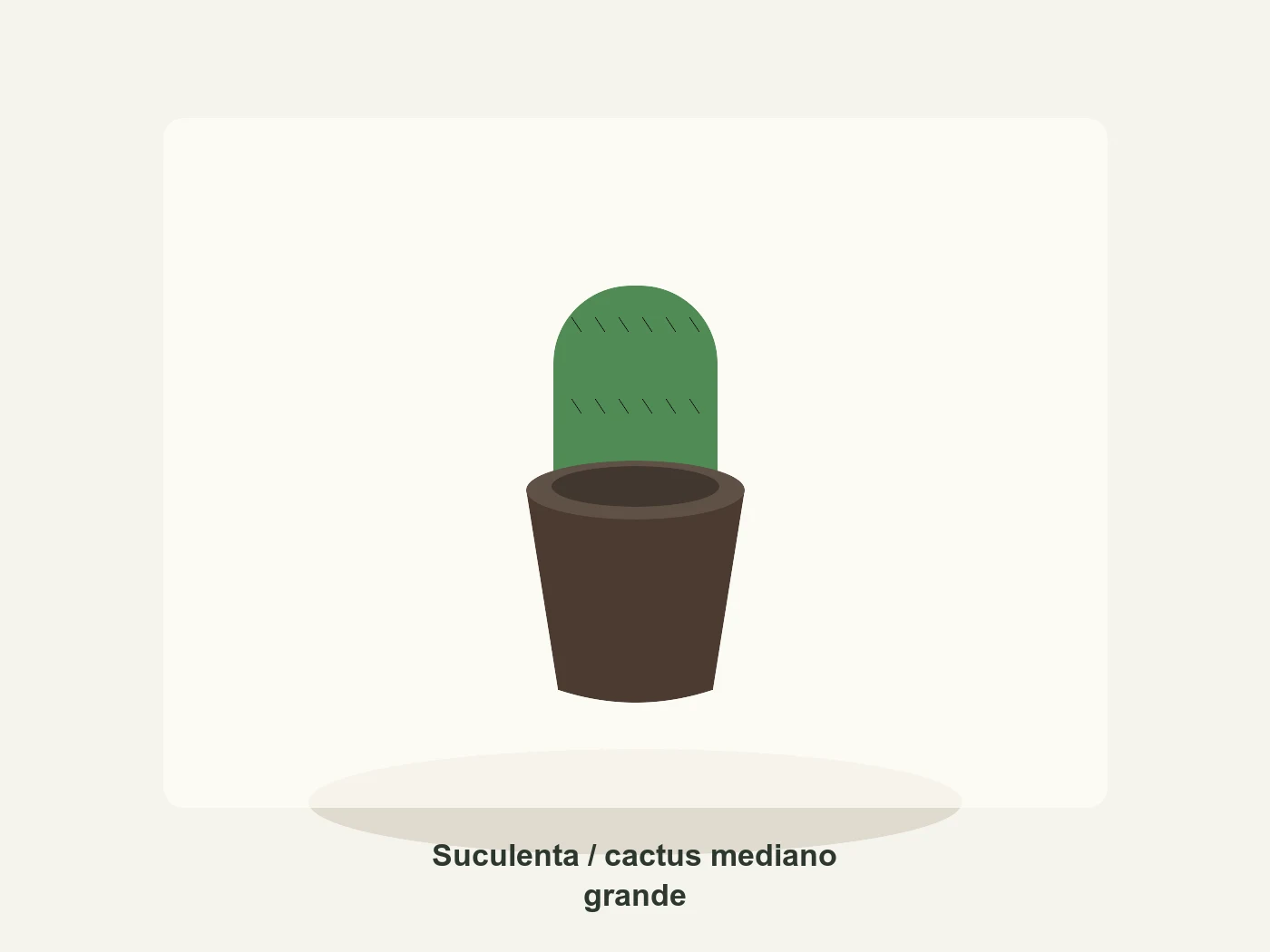 Suculenta / cactus mediano grande en Vivero Los Cocos