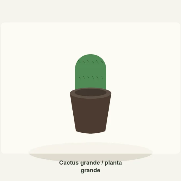 Cactus grande / planta grande