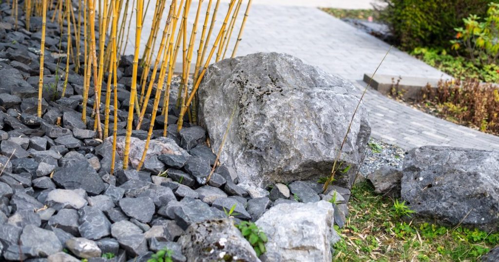 Canteros elevados: materiales, dimensiones y qué plantar