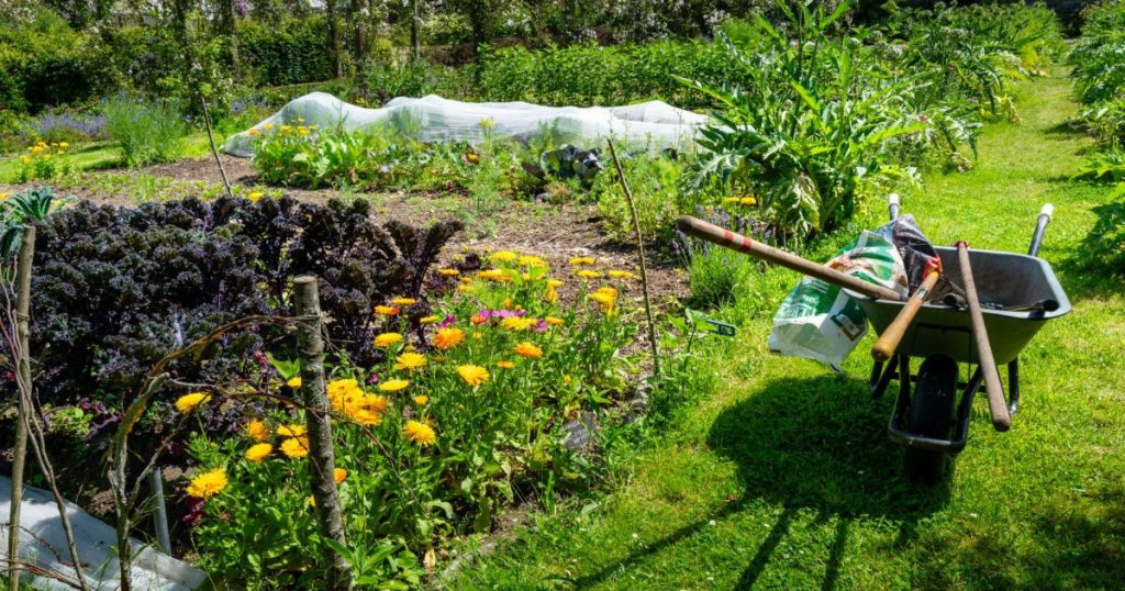 Cómo asociar cultivos en la huerta: qué plantar junto a qué