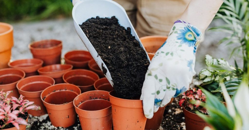 Cómo fertilizar plantas en maceta sin pasarte de abono