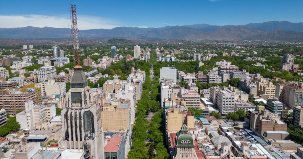 Gomero: el árbol urbano de Mendoza y sus cuidados