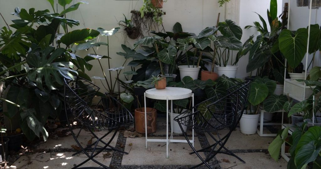 Jardín en balcones chicos de Guaymallén: plantas y distribución
