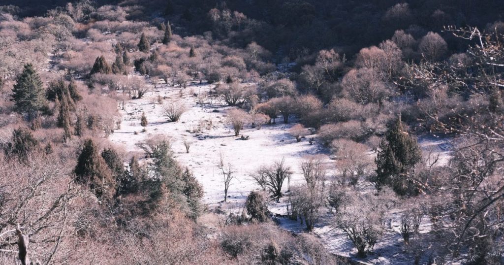 Jardín en Valle de Uco: qué plantar con heladas tardías y amplitud térmica