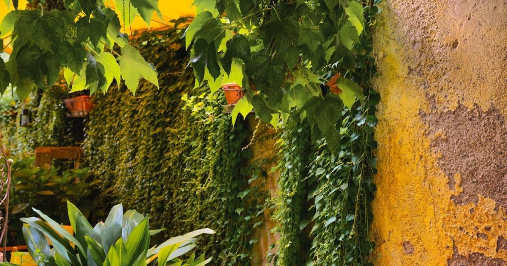 Jardín vertical en un muro: cómo hacerlo sin que se caiga