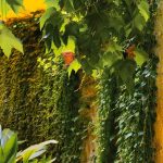 Jardín vertical con suculentas y plantas pequeñas montado sobre un muro de ladrillo exterior