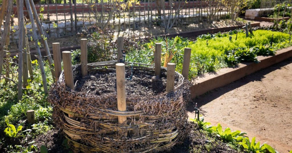 Lombrices en el compost: qué hacer cuando aparecen