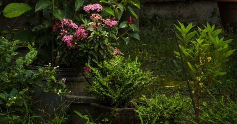 Lámpara LED de cultivo iluminando plantas de interior en un estante durante el invierno