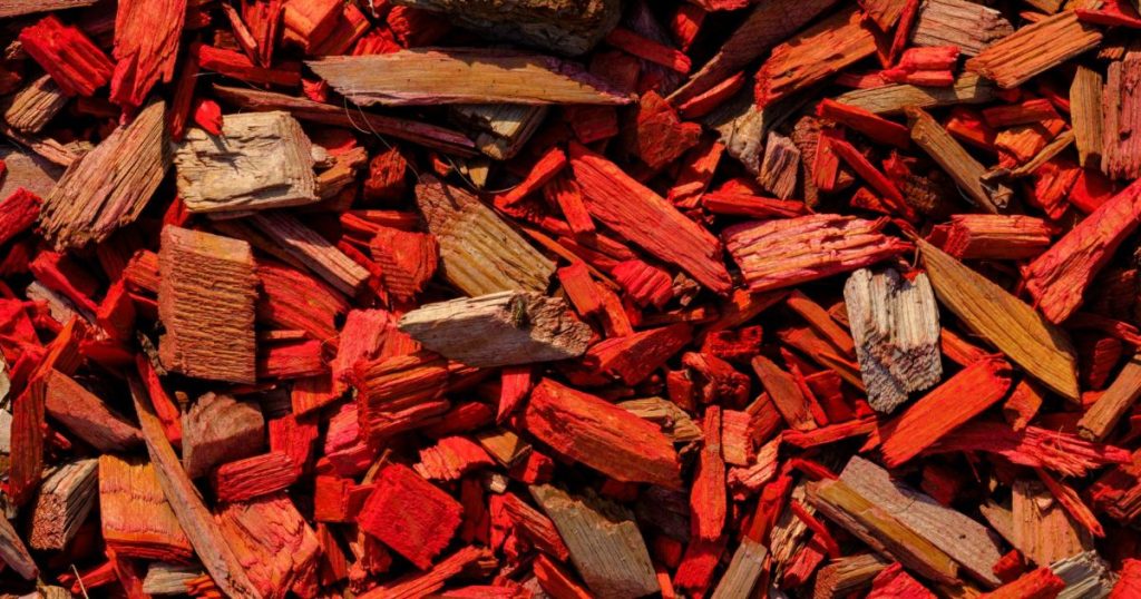 Mulch o acolchado: por qué tu tierra necesita una capa protectora