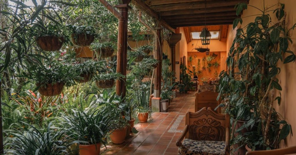 Patio en Luján de Cuyo: plantas que resisten la ceniza del Zonda
