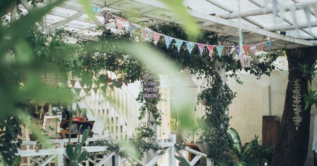 Plantas de sombra para patios cerrados en Guaymallén y Maipú