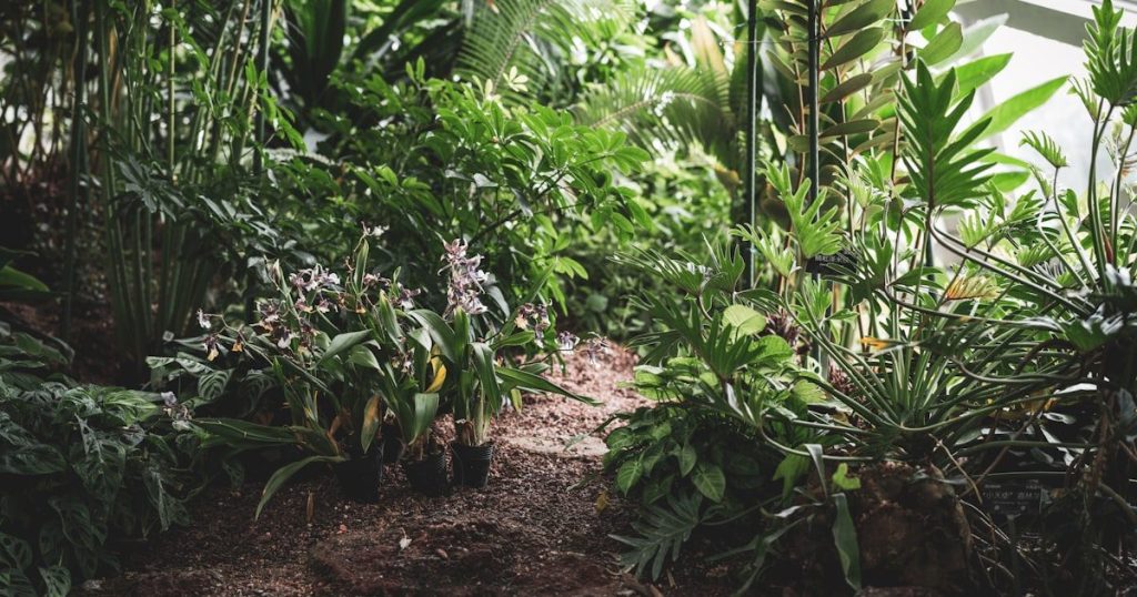 Plantas para el baño: cuáles toleran la humedad