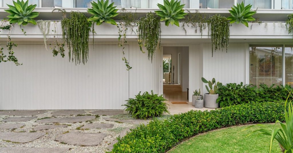 Plantas para la entrada de casa: qué elegir y dónde
