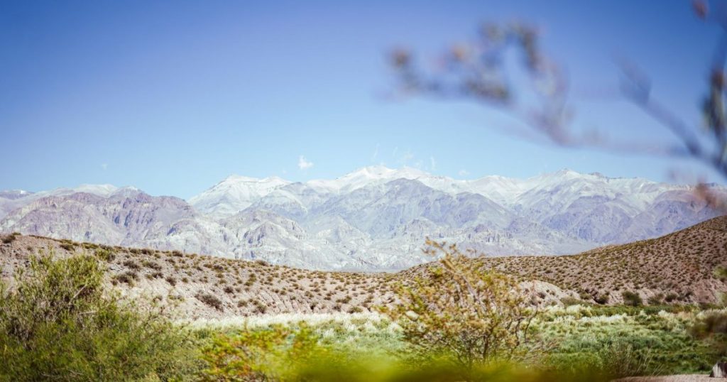 Qué plantar en otoño en Mendoza: guía por tipo de jardín