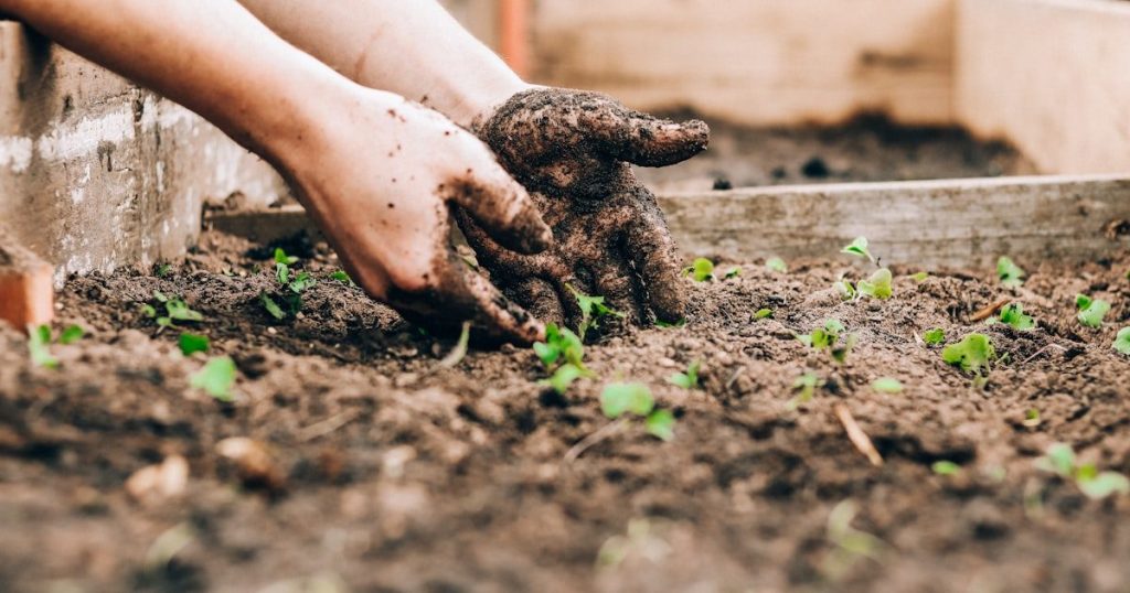 Sustrato casero: cómo mezclar tu propia tierra para macetas
