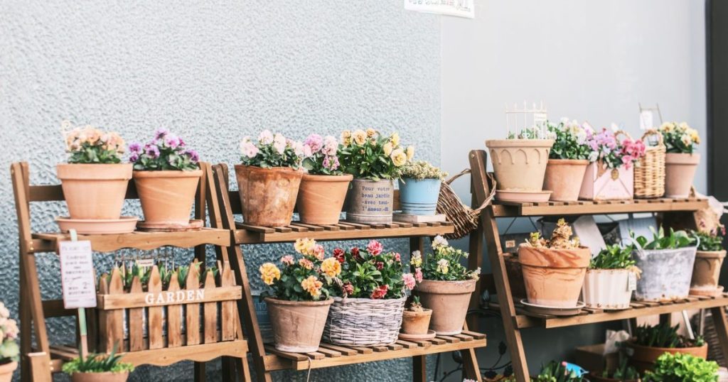 Sustratos para macetas: cuál elegir según la planta