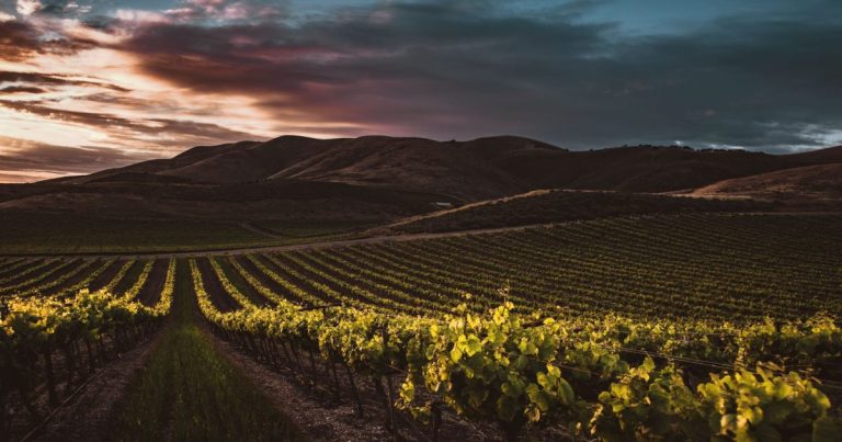 Jardín en Tupungato con montañas cordilleranas al fondo y plantas adaptadas al frío