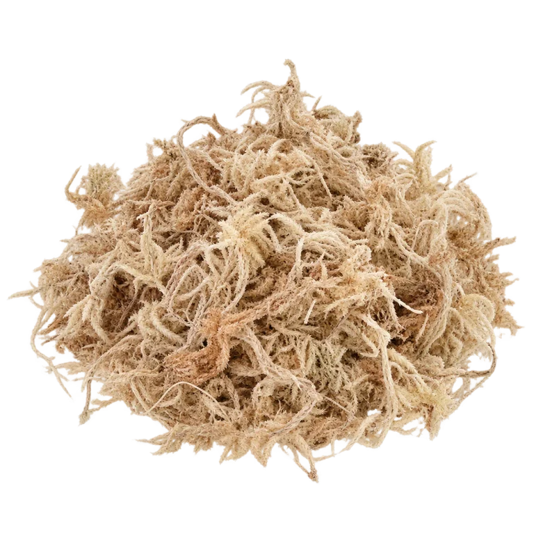 Musgo Sphagnum 5 litros — imagen de referencia