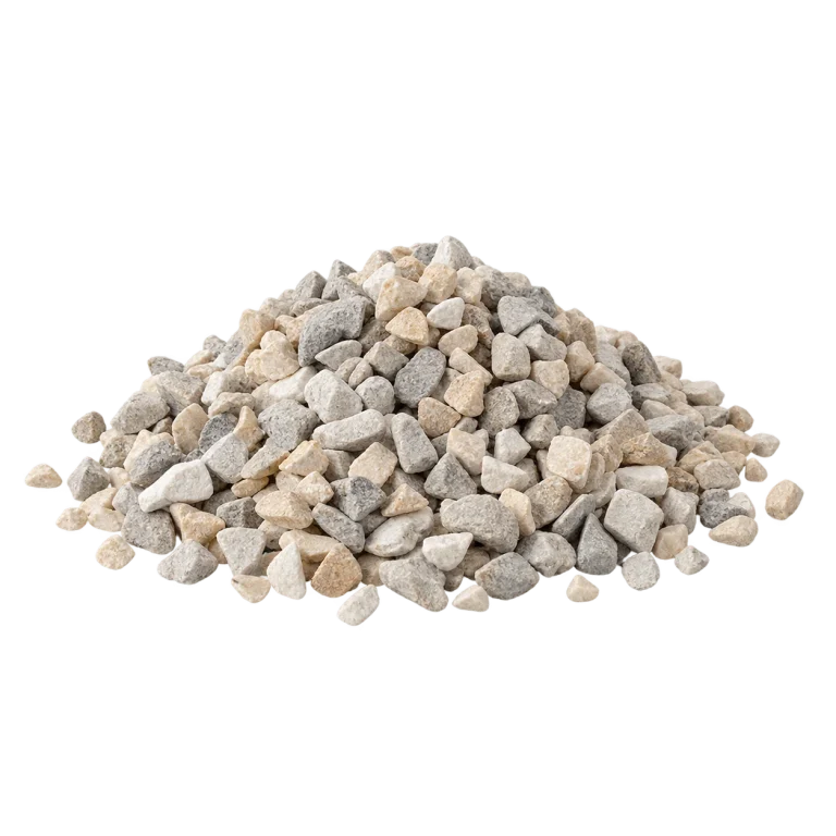 Piedras cactus — imagen de referencia